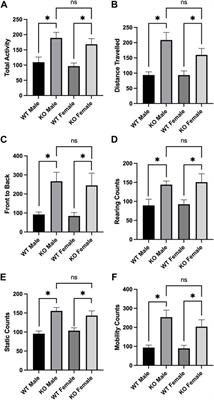 Mitochondrial brain proteome acetylation levels and behavioural responsiveness to amphetamine are altered in mice lacking Sirt3